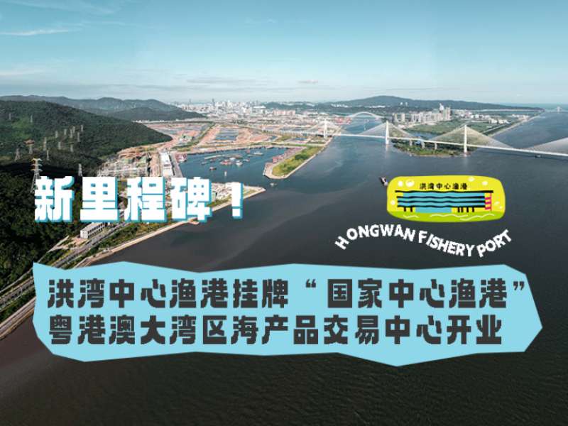 新里程碑！洪灣中心漁港掛牌“國家中心漁港”， 粵港澳大灣區海產(chǎn)品交易中心開(kāi)業(yè)